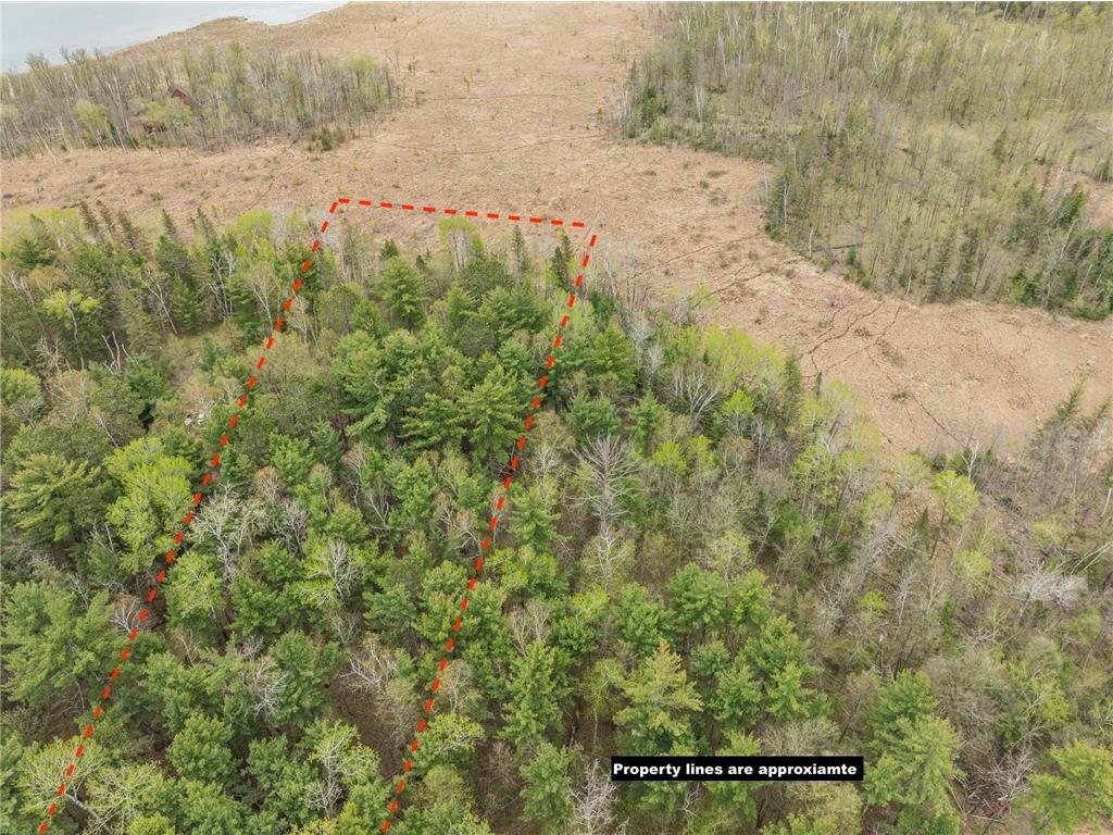TBD Chokecherry Drive Crow Wing Lake Twp MN 56467 7076059 image8