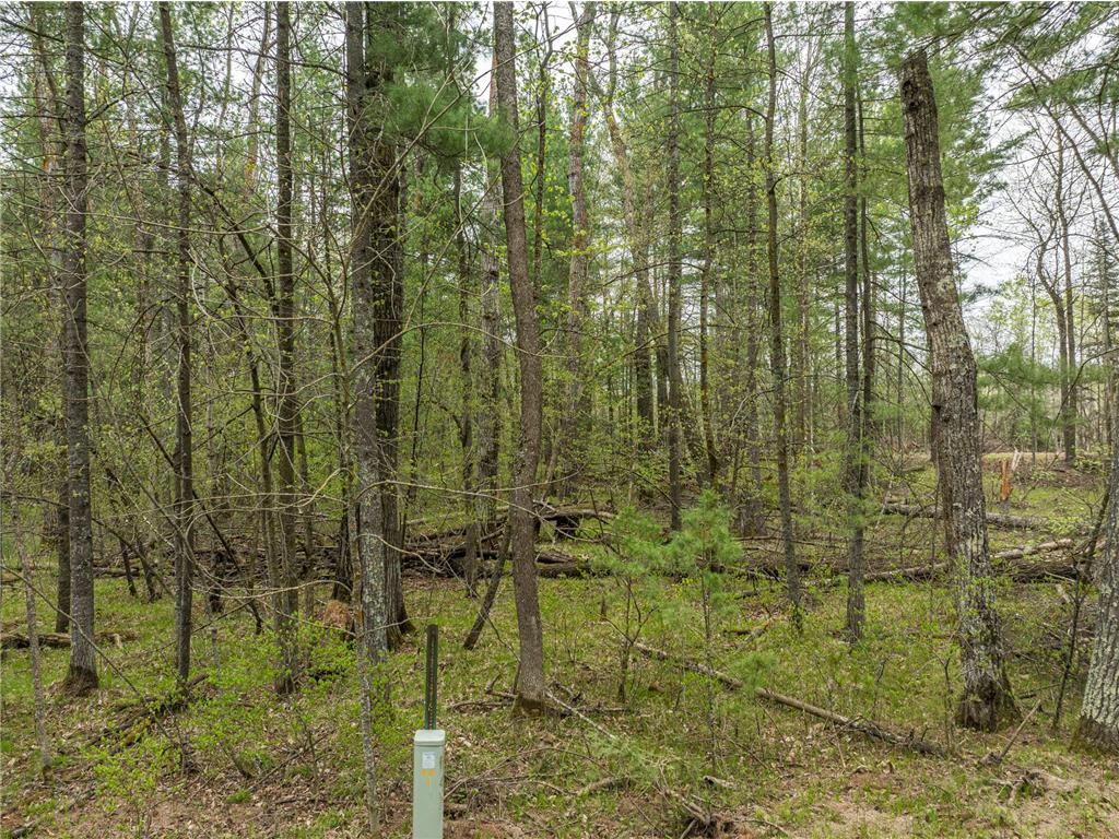 TBD Chokecherry Drive Crow Wing Lake Twp MN 56467 7076059 image9
