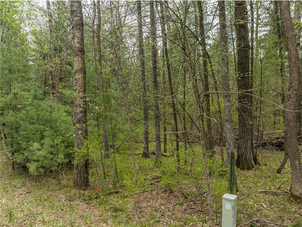 TBD Chokecherry Drive Crow Wing Lake Twp MN 56467 7103488 image3
