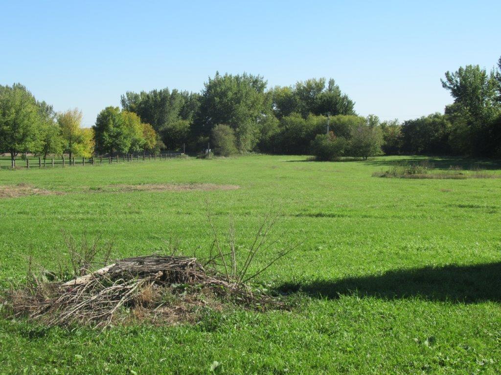 Lot 15 Church Avenue Hills MN 56138 6108130 image1