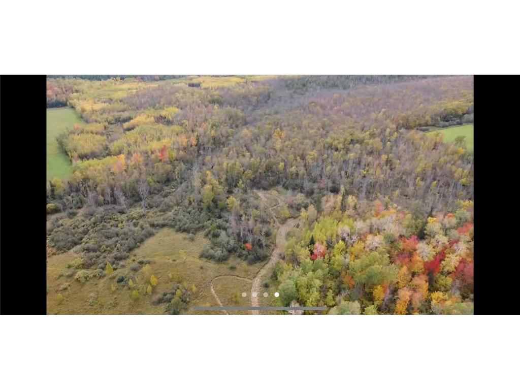 TBD Clark Road, Floodwood, MN, 55736 MLS 6316668 Edina Realty