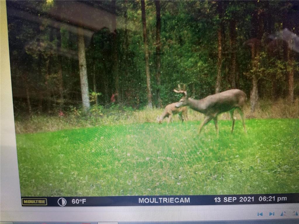 TBD Clearline RD Leonard MN 56652 6588753 image1