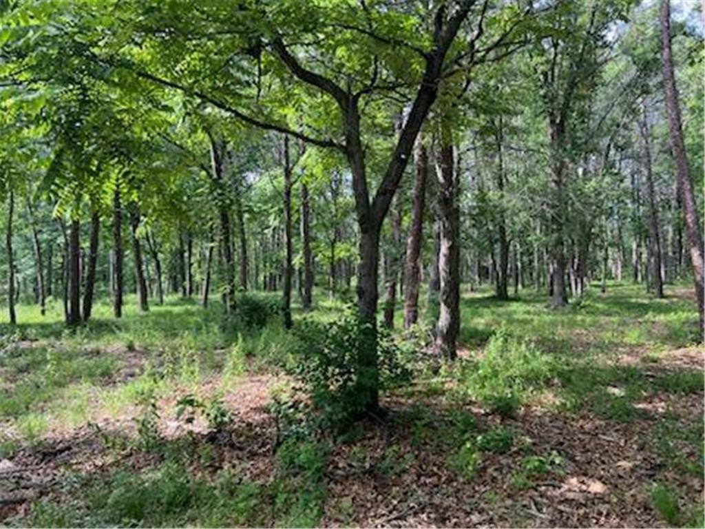 TBD Clearwater Road Baxter MN 56425 6739834 image1