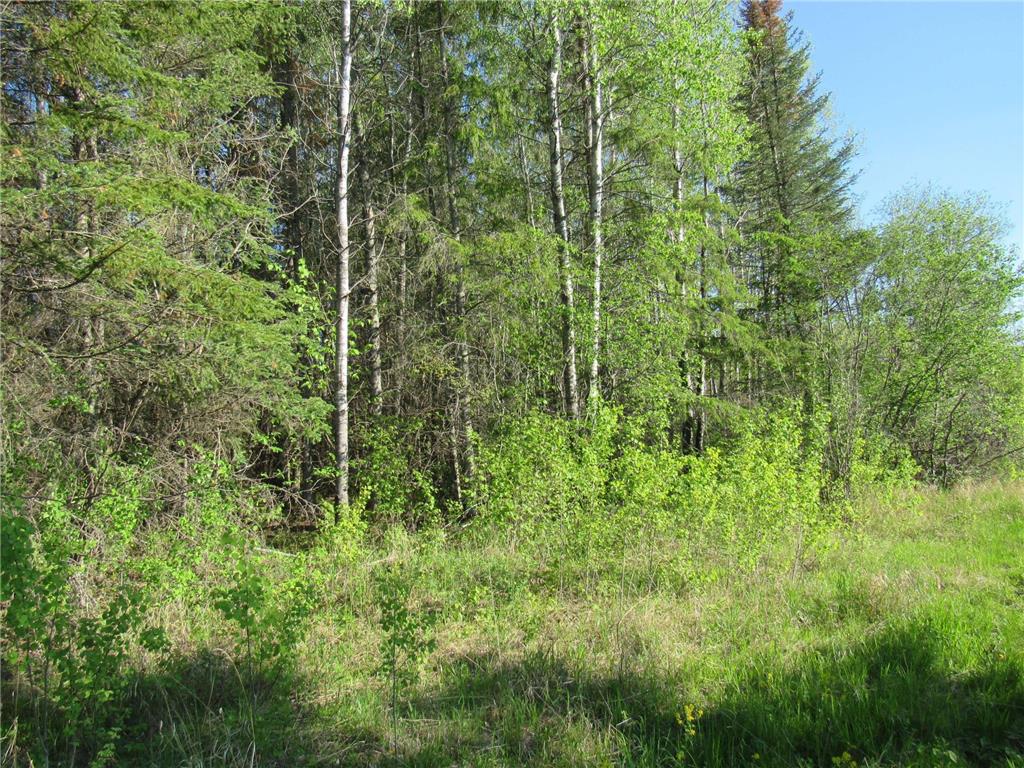 TBD Cloverdale Road Nashwauk MN 55769 6558152 image1