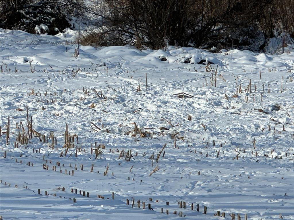 TBD Co Hwy 10 Fergus Falls MN 56537 7001350 image10