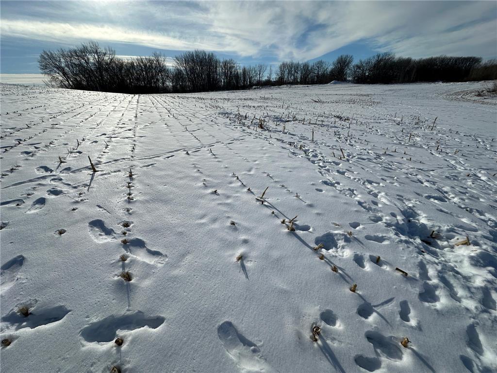 TBD Co Hwy 10 Fergus Falls MN 56537 7001350 image6