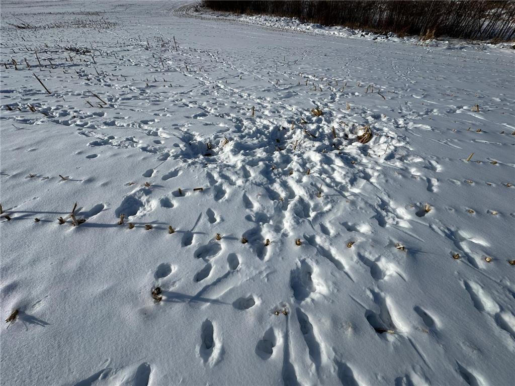 TBD Co Hwy 10 Fergus Falls MN 56537 7001350 image7