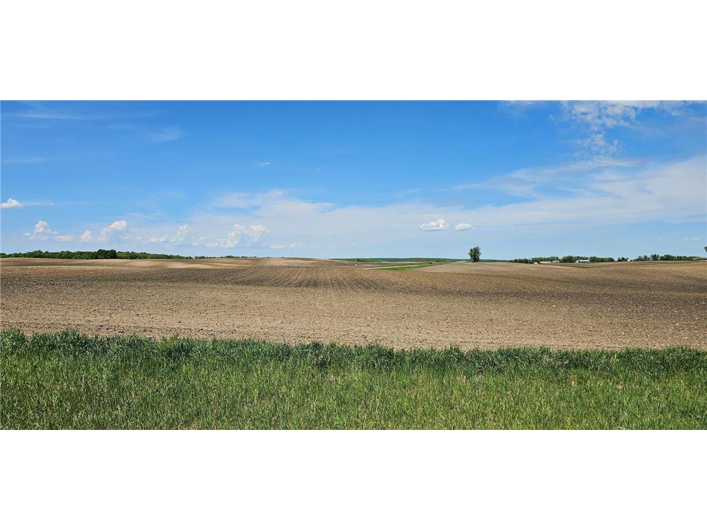TBD Co Hwy 27 Elizabeth Twp MN 56537 7078578 image4