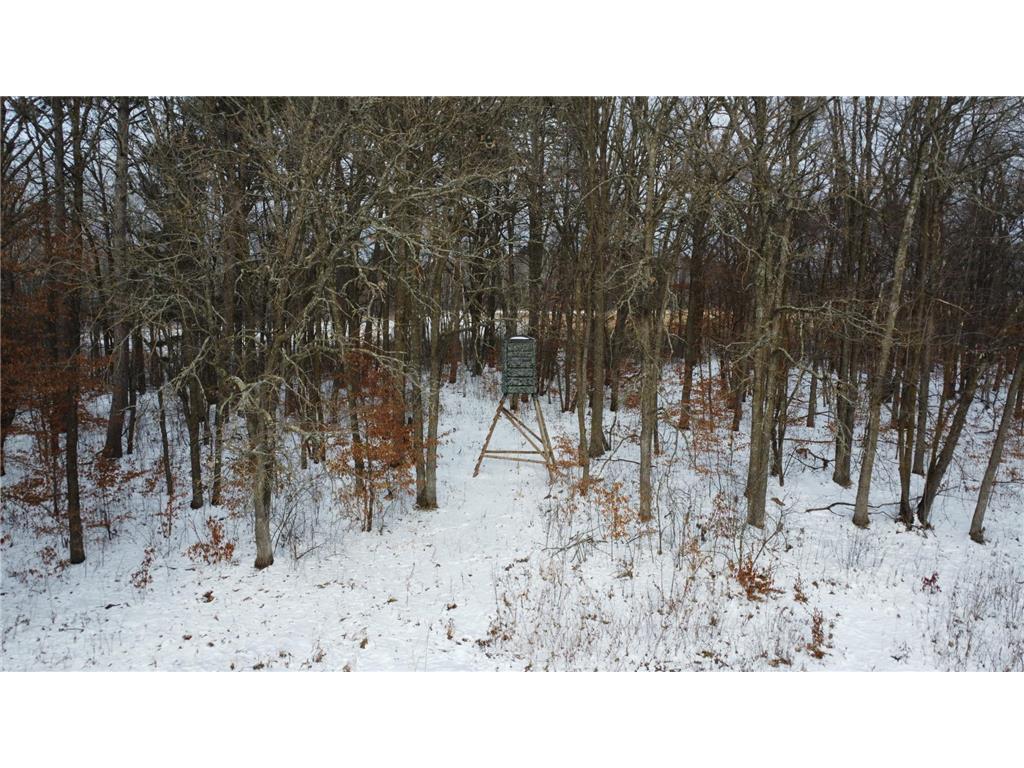 TBD Co Hwy 37 Highway Ponsford MN 56575 - Big Rush 6826819 image9