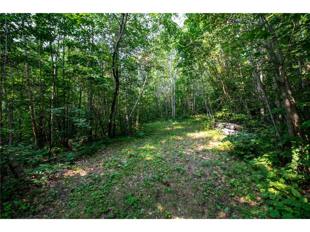 TBD Co Hwy 39 Osage MN 56570 6820753 image36