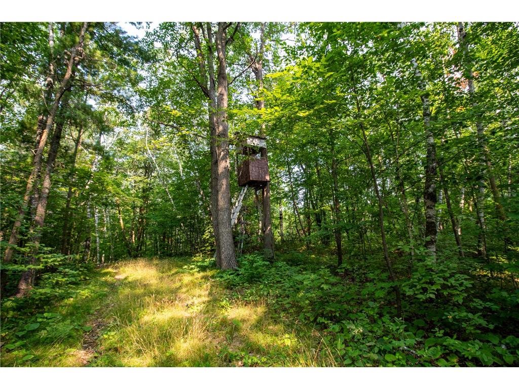 TBD Co Hwy 39 Osage MN 56570 6820753 image37