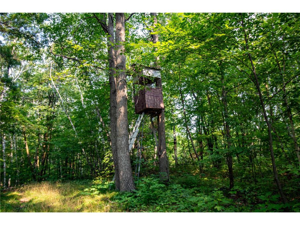 TBD Co Hwy 39 Osage MN 56570 6820753 image38