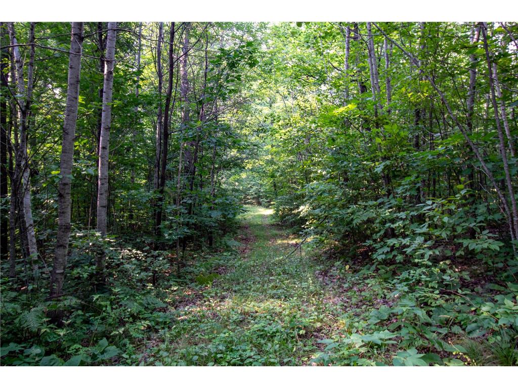 TBD Co Hwy 39 Osage MN 56570 6820753 image39