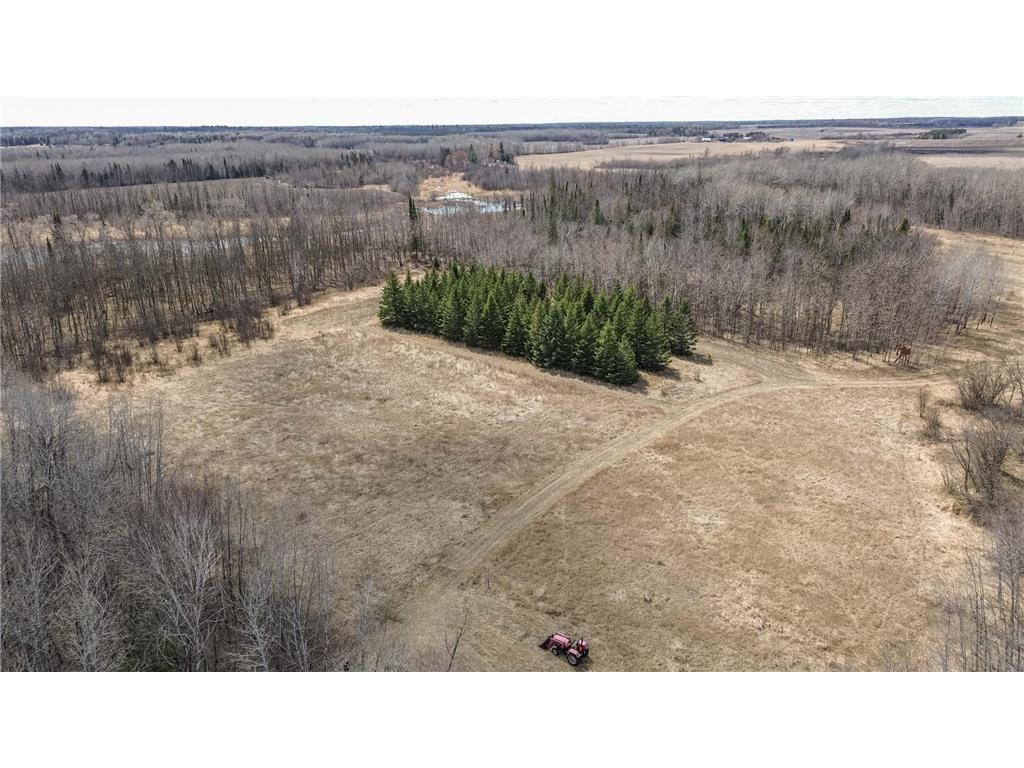 TBD Co Hwy 40 Runeberg Twp MN 56464 6704276 image1