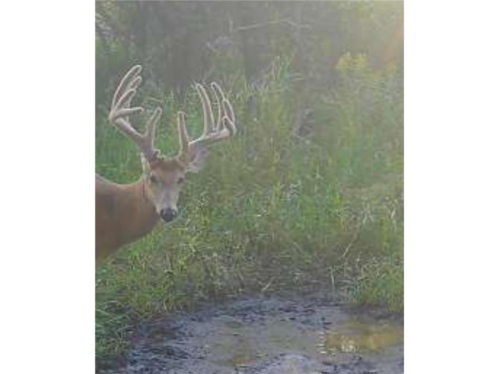 TBD Co Hwy 73 Deer Creek MN 56527 6824472 image1