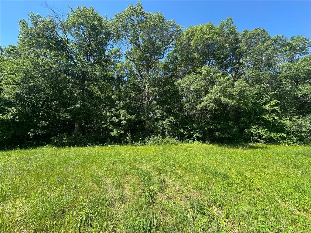 TBD Co Rd 11 Crosslake MN 56442 6748365 image1