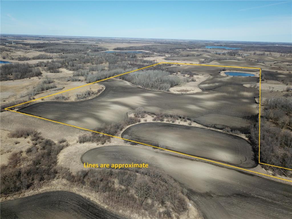 TBD Co Rd 11 La Garde Twp MN 56589 6515913 image1