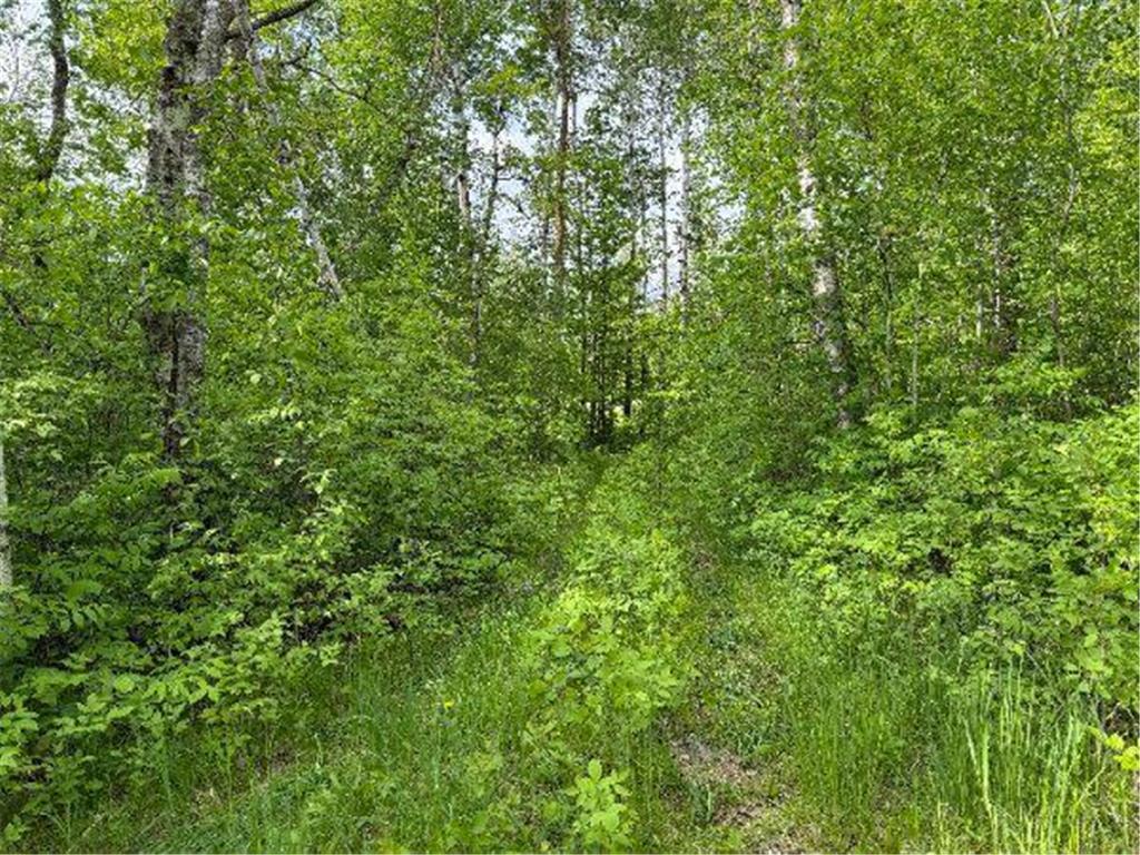 TBD Co Rd 141 Detroit Lakes MN 56501 6730671 image1
