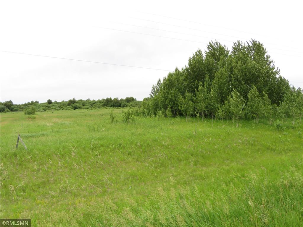 TBD Co Rd 31 Malung Twp MN 56751 6391423 image1