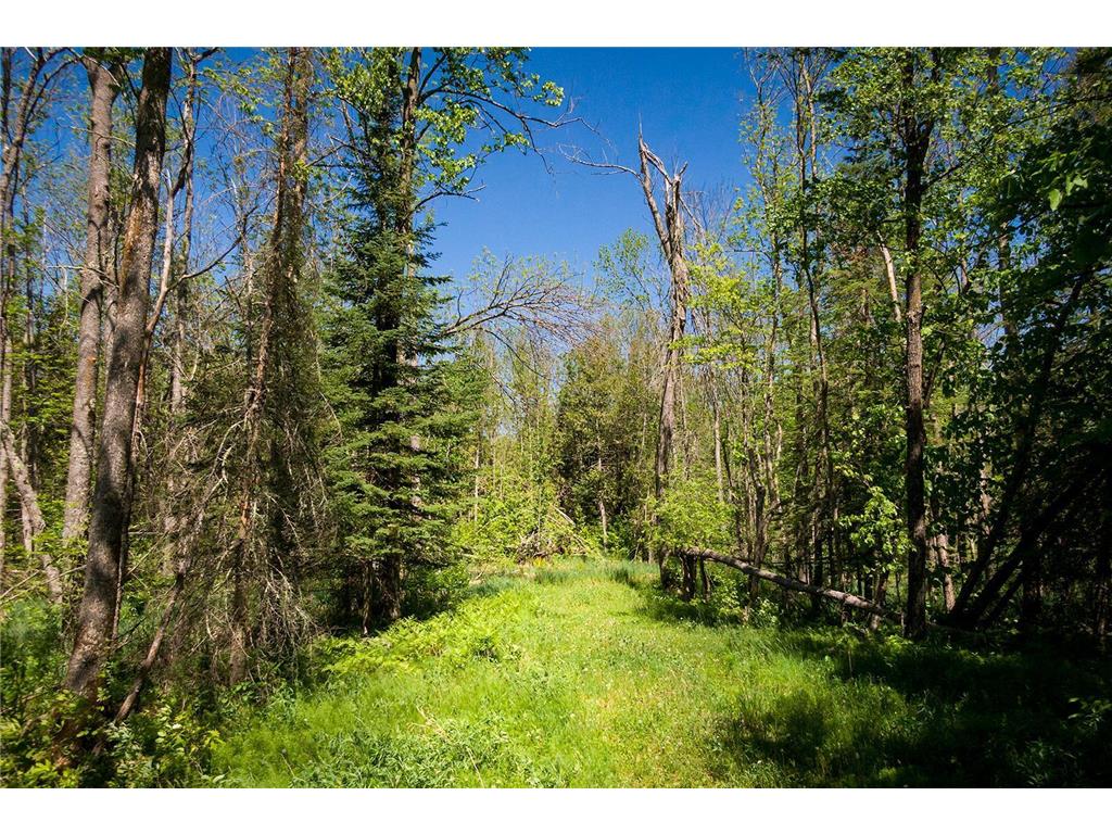 TBD Coontail Drive NE Outing MN 56662 - Washburn 6355376 image1