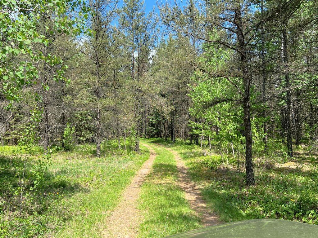 TBD County 109 Menahga MN 56464 7088252 image3