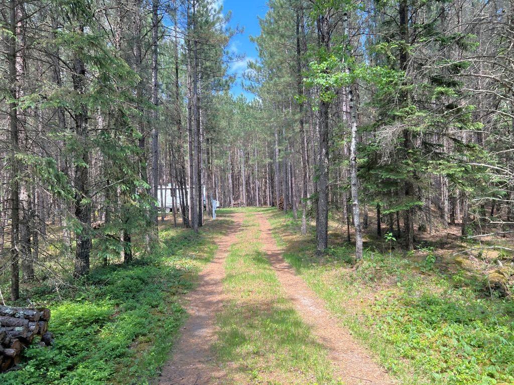 TBD County 109 Menahga MN 56464 7088252 image4