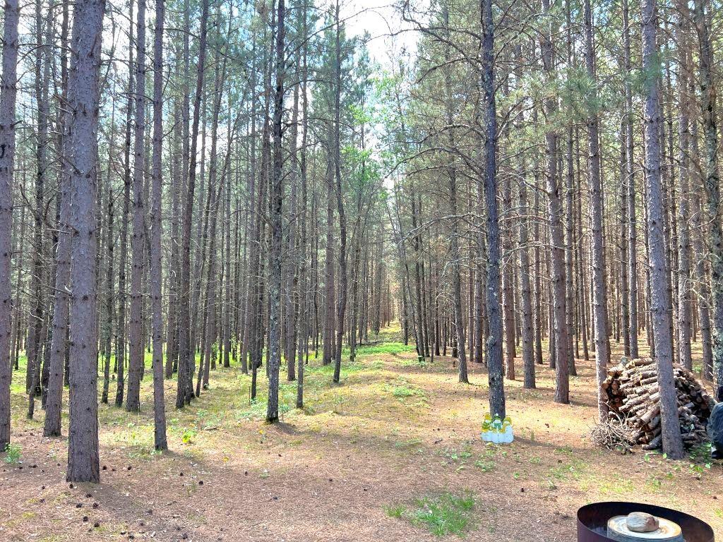 TBD County 109 Menahga MN 56464 7088252 image7