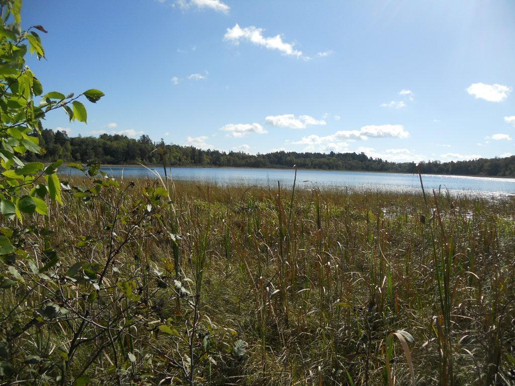 TBD County 118 Road NW Backus MN 56435 - Little Hattie Lake 6722672 image1