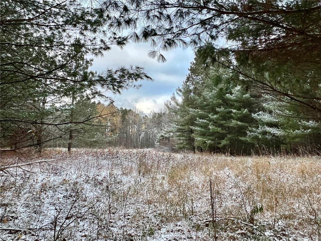 TBD County 126 Road Longville MN 56655 6456866 image1