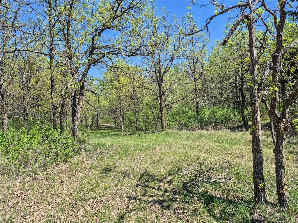 TBD County 152 Park Rapids MN 56470 - Hay Creek 6722814 image18