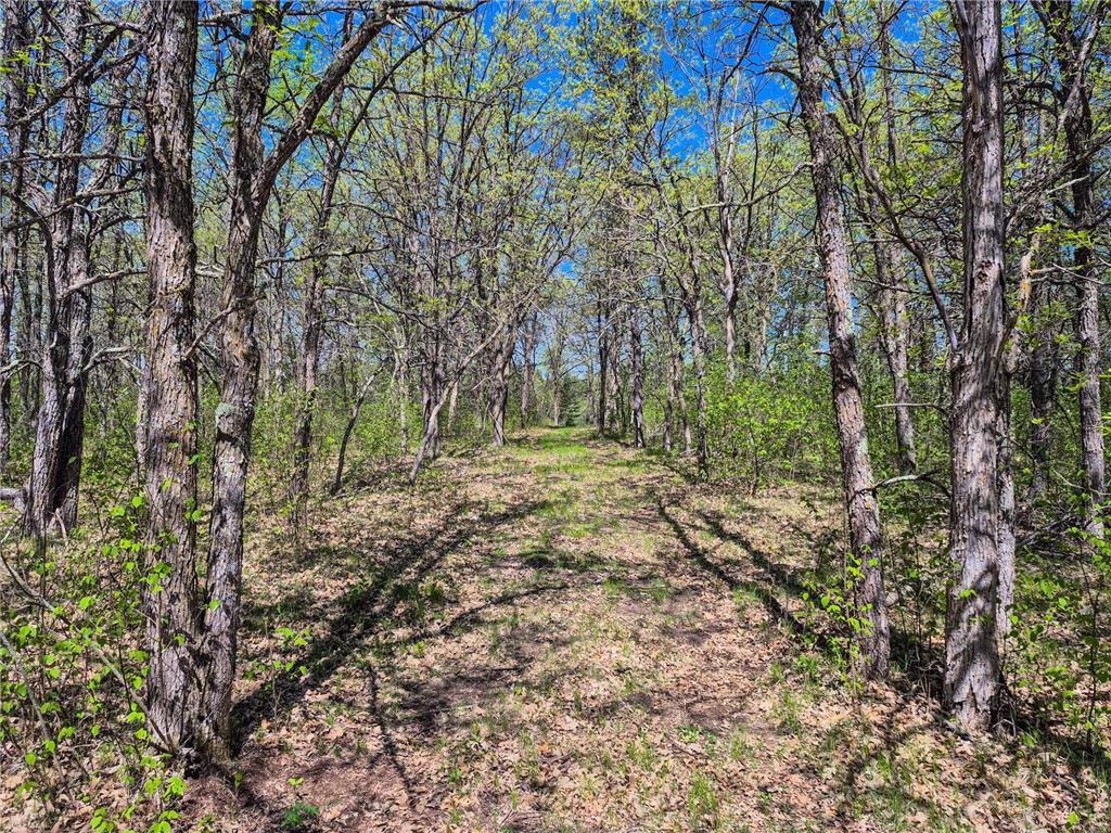 TBD County 152 Park Rapids MN 56470 - Hay Creek 6722814 image26