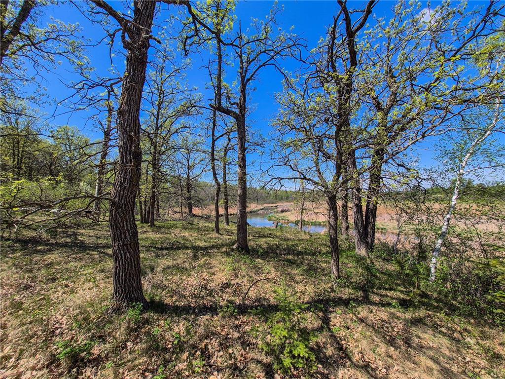 TBD County 152 Park Rapids MN 56470 - Hay Creek 6722814 image51