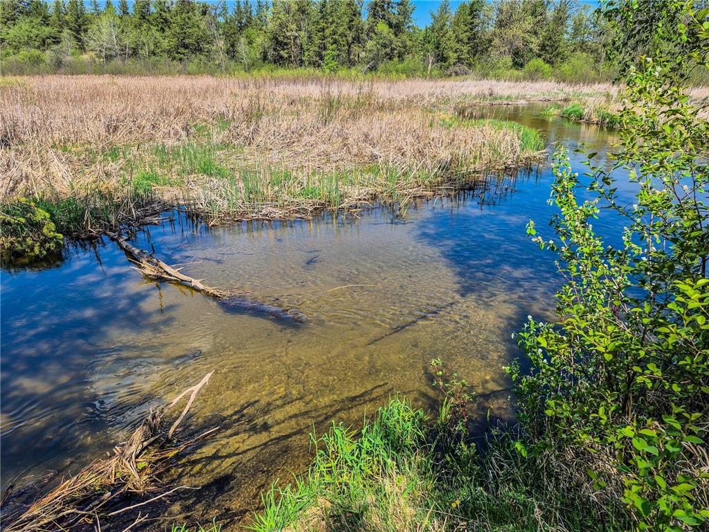 TBD County 152 Park Rapids MN 56470 - Hay Creek 6722814 image52