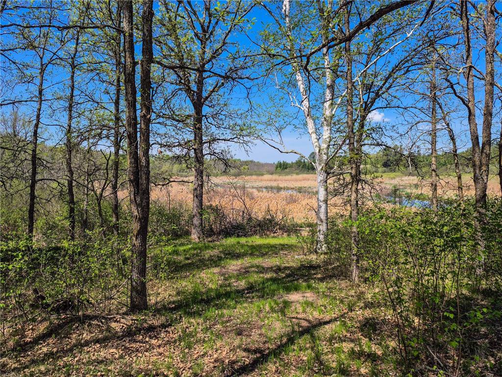 TBD County 152 Park Rapids MN 56470 - Hay Creek 6722814 image63
