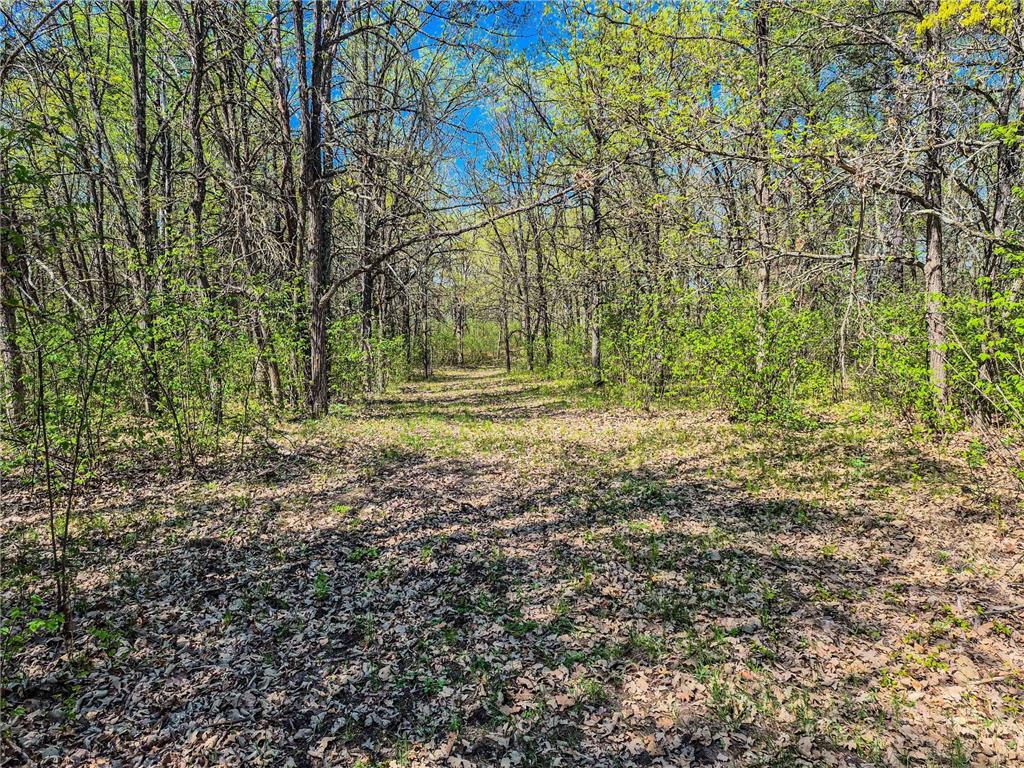 TBD County 152 Park Rapids MN 56470 - Hay Creek 6722814 image64