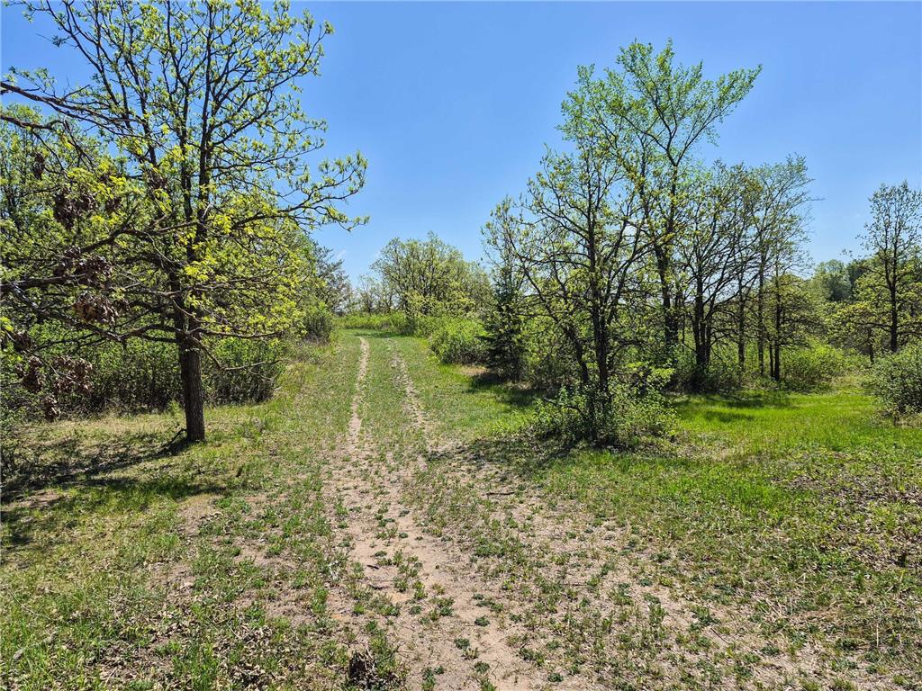 TBD County 152 Park Rapids MN 56470 - Hay Creek 6722814 image65