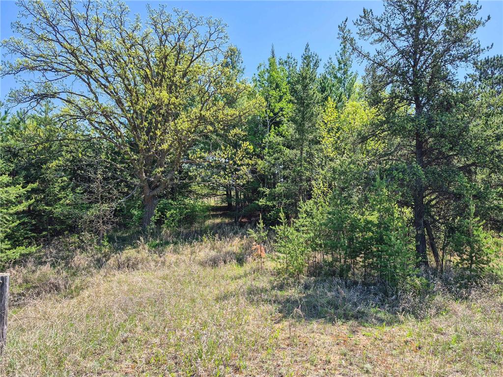 TBD County 152 Park Rapids MN 56470 - Hay Creek 6722814 image66