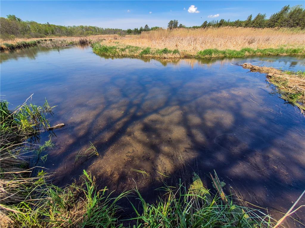 TBD County 152 Park Rapids MN 56470 - Hay Creek 6722814 image7