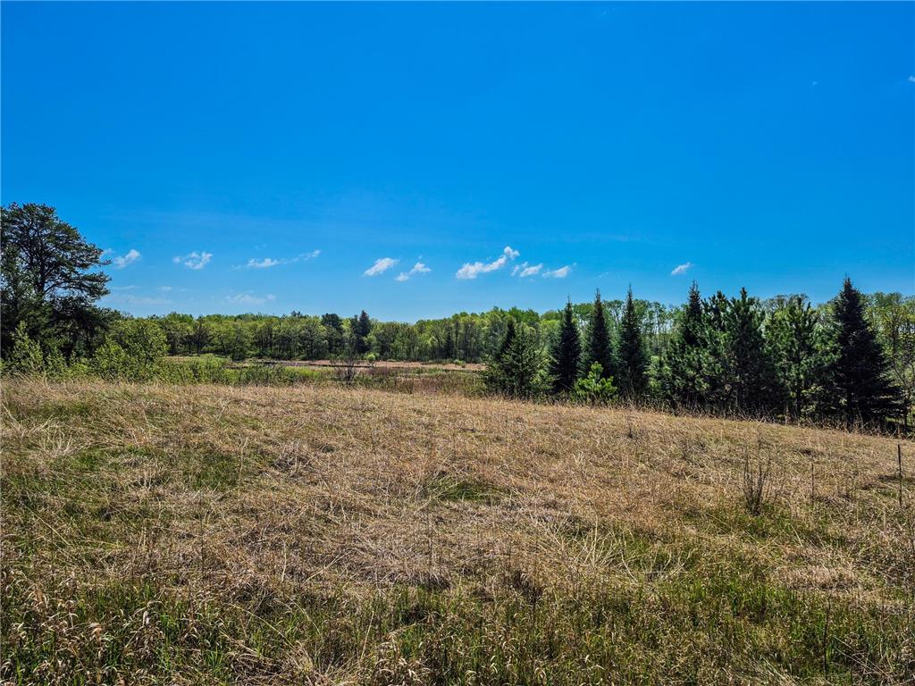 TBD County 152 Park Rapids MN 56470 - Hay Creek 6722814 image9