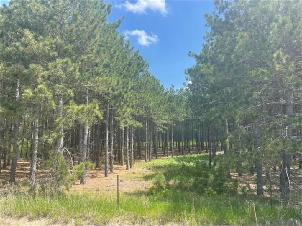 TBD County 2 Nevis MN 56467 6381952 image1