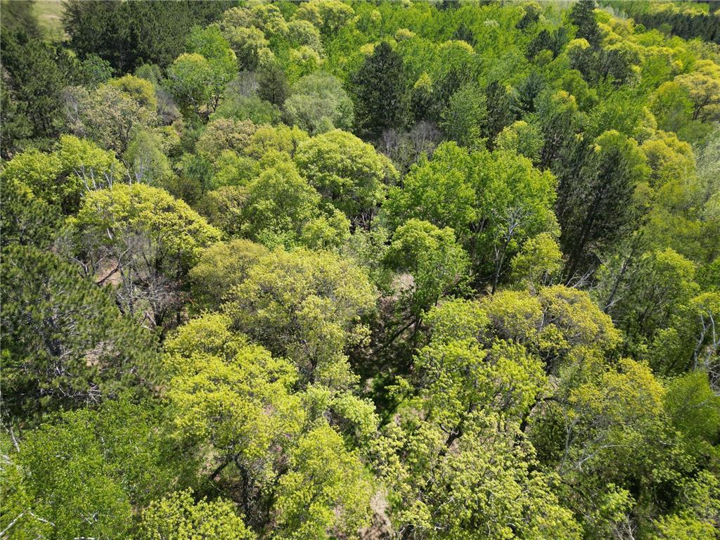 TBD County 2 Nevis MN 56467 6645549 image10