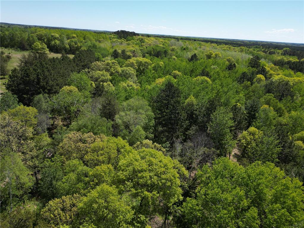 TBD County 2 Nevis MN 56467 6645549 image11