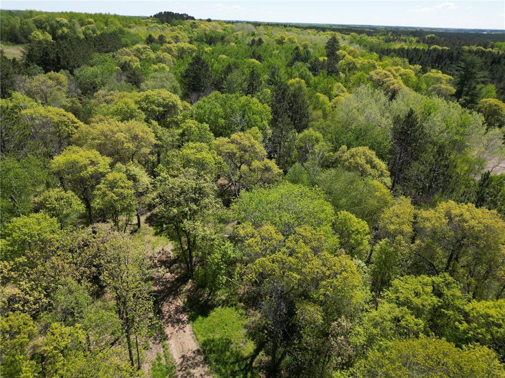 TBD County 2 Nevis MN 56467 6645549 image3