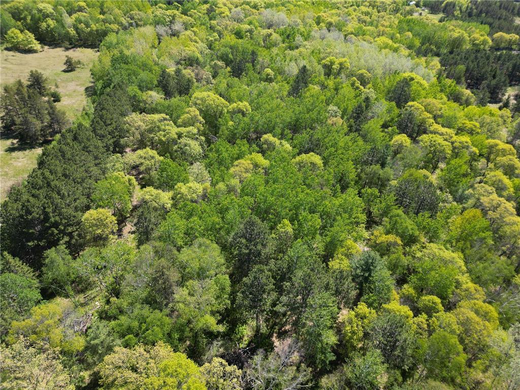 TBD County 2 Nevis MN 56467 6645549 image6