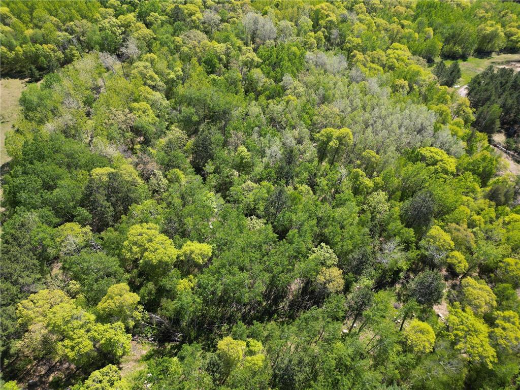 TBD County 2 Nevis MN 56467 6645549 image7