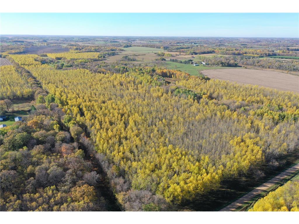 TBD County 22 Browerville MN 56438 6450980 image1