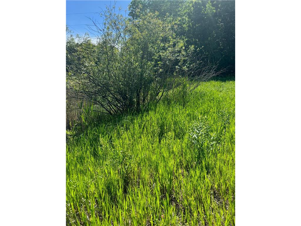 TBD County 29 Browerville MN 56438 6553275 image3