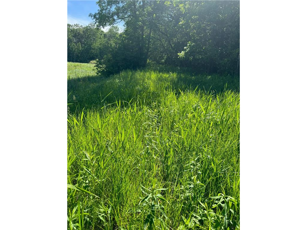 TBD County 29 Browerville MN 56438 6553275 image4