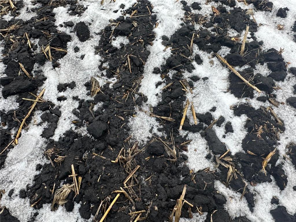 TBD County 36 Long Prairie MN 56347 7005026 image10