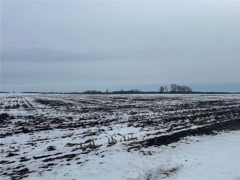 TBD County 36 Long Prairie MN 56347 7005026 image2